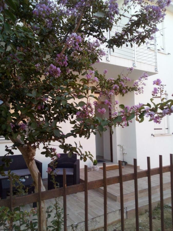 The Judas Trees Mestre Exterior foto